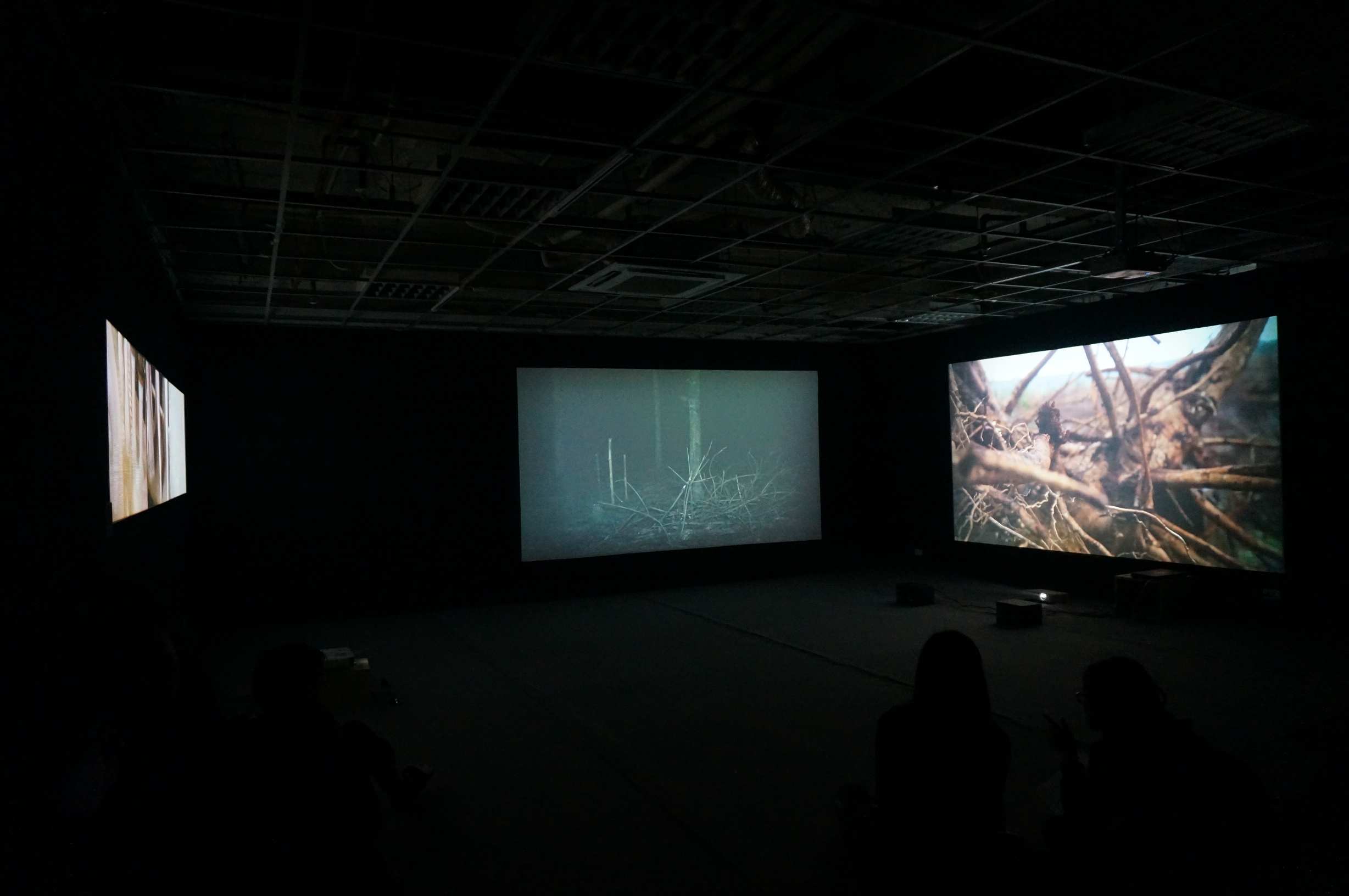 Black, Red and White<br> 
Video installation: 3 channels<br>
Nguyen Phuong Linh, 2015-16