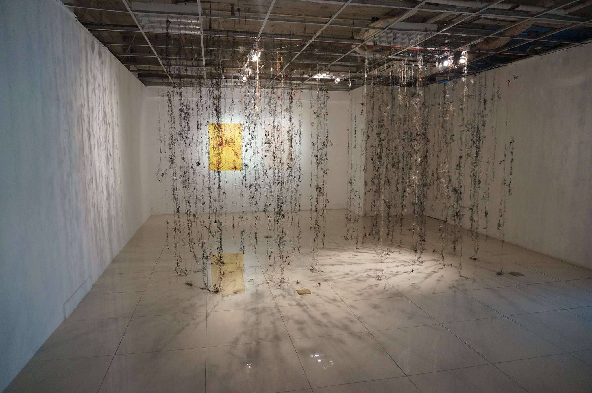 Nuchal Translucency, 2013, installation, knitted horsehair